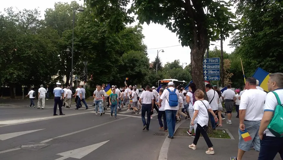 Suținător PSD: "Suntem ca oile. Credem că cel care e în față este mai deștept"