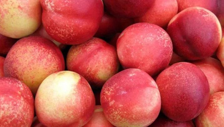 Adevărul despre nectarine. Un nutriţionist spune marele secret despre aceste fructe