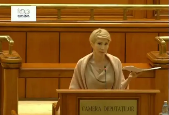 PNL și USR atacă modificările codului de procedută penală la CCR