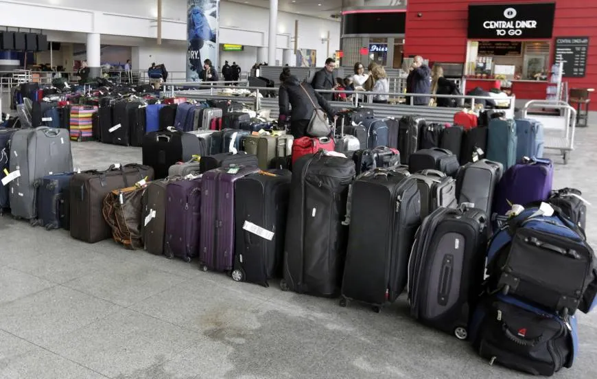 Descoperire incredibilă în bagajul unei femei la aeroport. Angajații au rămas fără cuvinte 