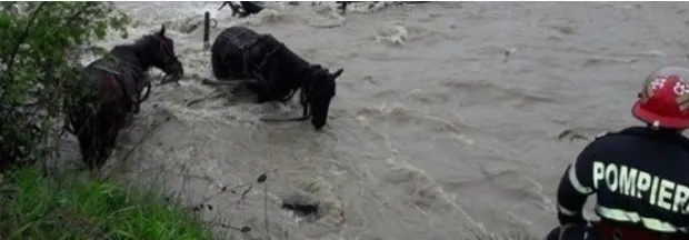 Tragedie în mijlocul vâltorii! A neglijat furia apelor şi a plătit cu viaţa