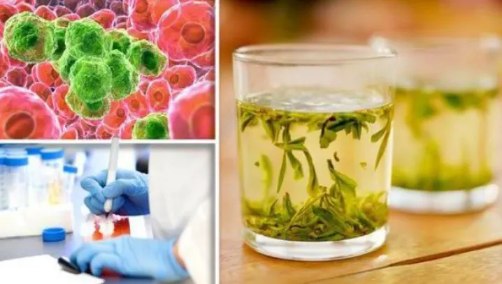 Singurul ceai care distruge celulele canceroase în 48 de ore. Uite cum se prepară