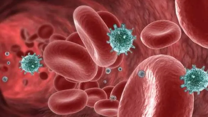Descoperire revoluţionară: fir magnetic, care ar putea "pescui" celulele canceroase