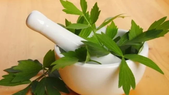 Planta care te ajută în curele de slăbire! Efectele miraculoase pe care le are asupra organismului