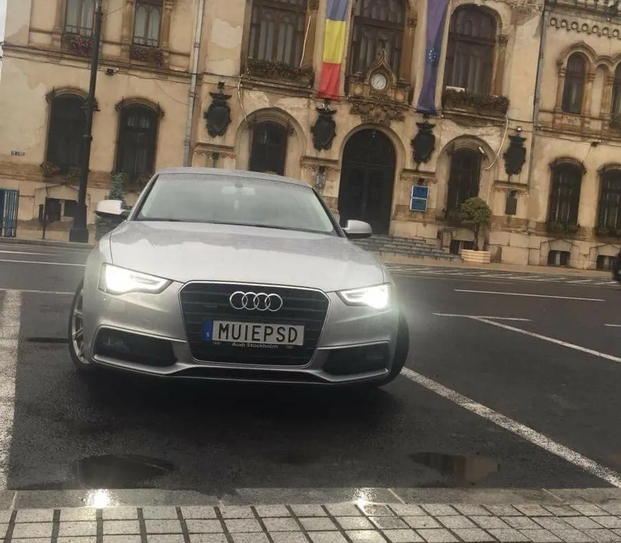 PNL aşteaptă explicaţii de la Carmen Dan în scandalul "M..E PSD"