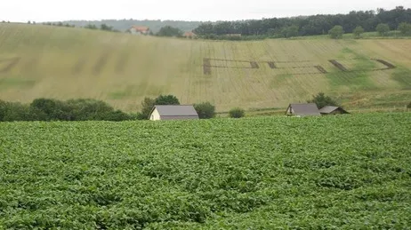 Ce se întâmplă cu mesajul anti-PSD scris pe dealul din Cluj cu tractorul, după discuţiile cu Poliţia