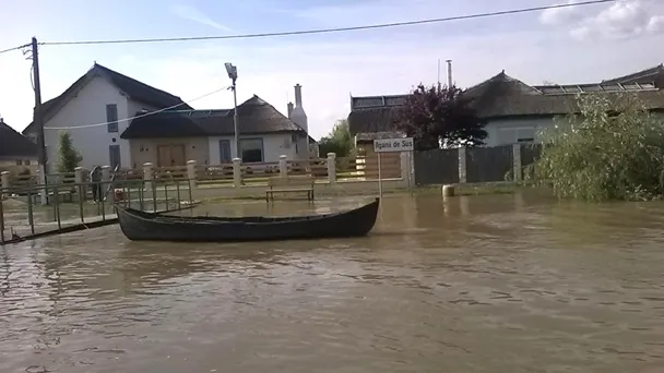 Tragedie în Tulcea: Doi nepoţi şi bunica lor au murit luaţi de viitură. Bunicul e dat dispărut