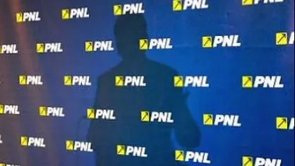 PNL îl somează pe Dragnea să nu mai intoxice opinia publică cu fumigene diversioniste