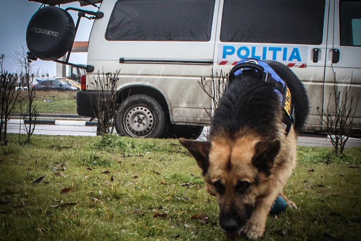 TRAGEDIE. S-a întors de la înmormântarea fiicei de 17 ani. Ce a descoperit mama îndurerată