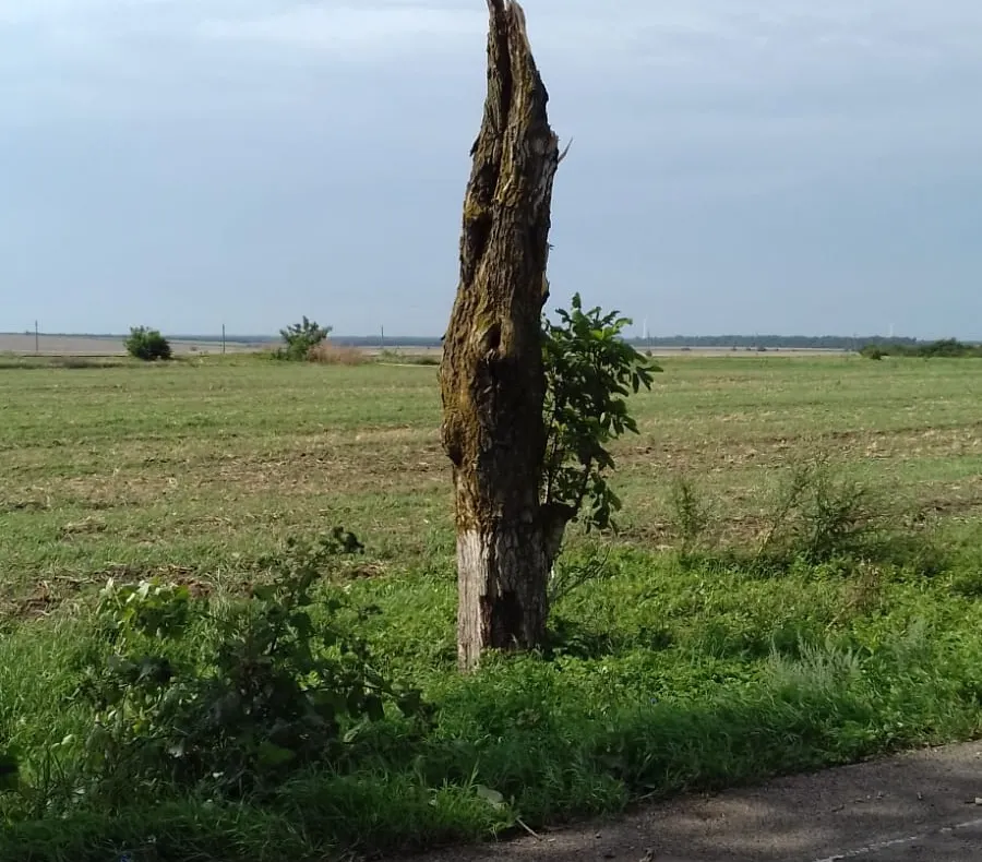 Imagini de coşmar: o tornadă a făcut ravagii 