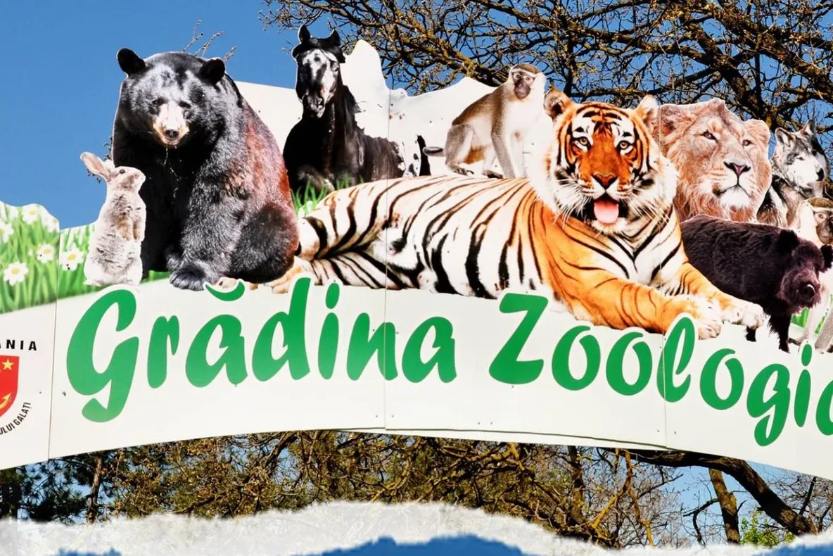 Imagini cumplite la ZOO Galaţi: Trei copii lovesc animalele, iar părinţii se uită la ei