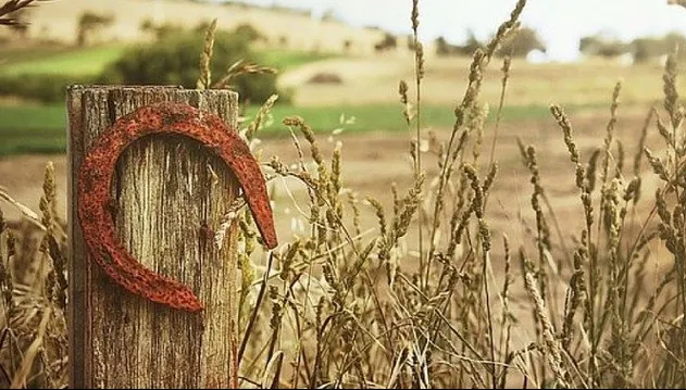 Horoscop financiar 6-12 august. Zodia care se îmbogăţeşte peste noapte. Era şi timpul!