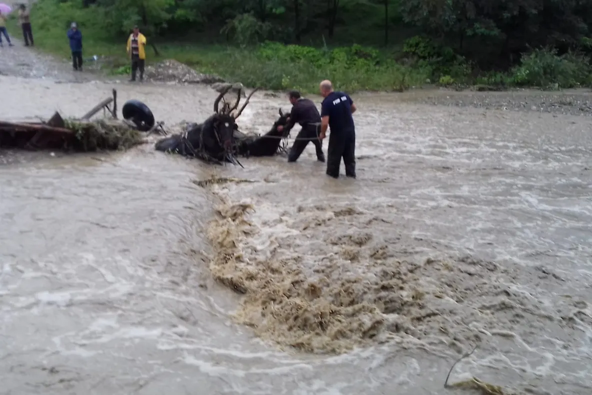 Căruţă luată de viitură, cu tot cu oameni şi cai (VIDEO)