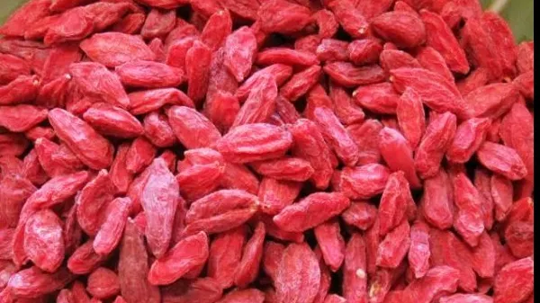 Beneficiile necunoscute ale fructelor goji. Iată motivele pentru care trebuie să le consumi!