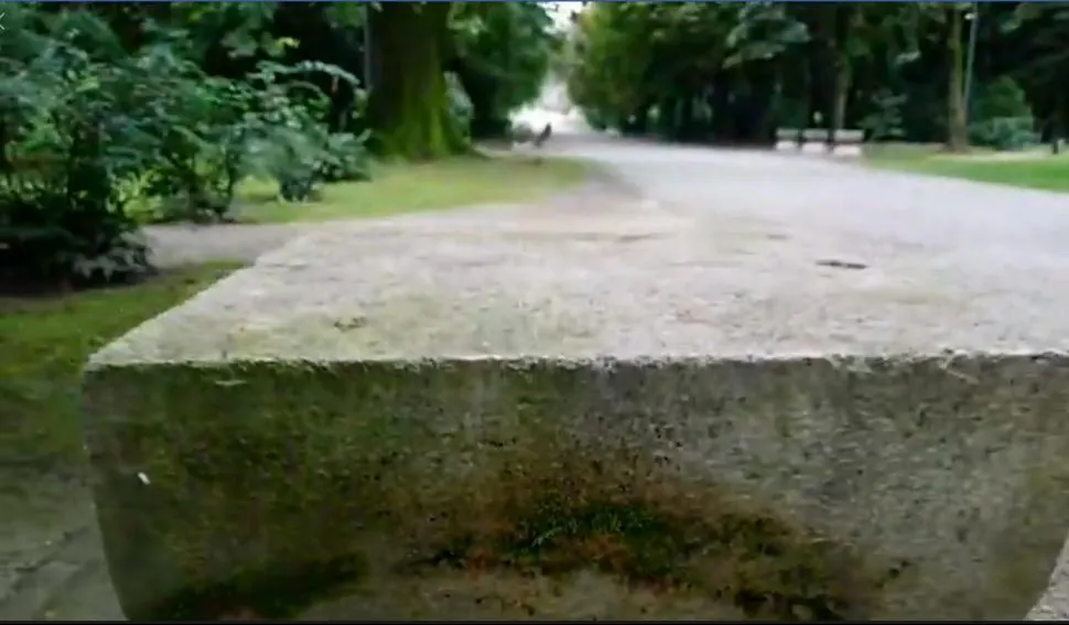 Operele lui Brâncuşi, invadate de formaţiuni de muşchi verzi. Bătaia de joc a autorităţilor