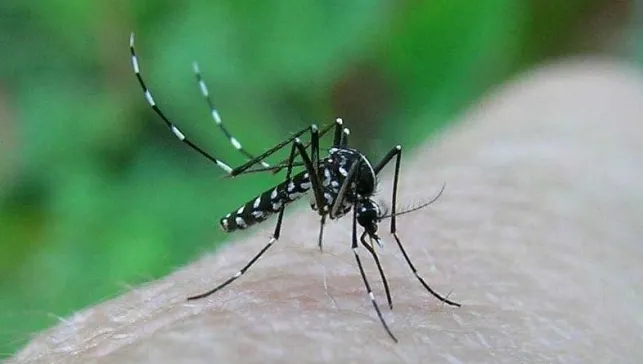 Alertă în România: 6 persoane au murit în urma infecţiei cu virusul West Nile 