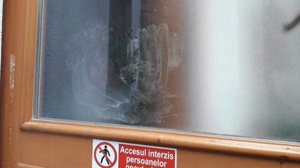 INCREDIBIL: un urs a intrat într-un centru care adăposteşte 50 de copii şi a distrus frigiderul