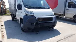 Accident pe A1. Un urs a fost lovit mortal de o camionetă. Ce spun autoritățile