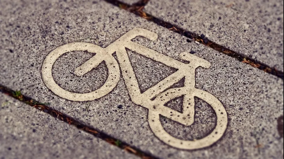 Vorbitul la telefon în timpul mersului cu bicicleta, interzis prin lege