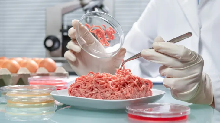 Carne din laborator, tu ai mânca așa ceva? Ce vor să facă cercetătorii