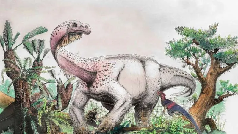 Descoperire recentă: cât cântărea cel mai mare animal de pe Terra