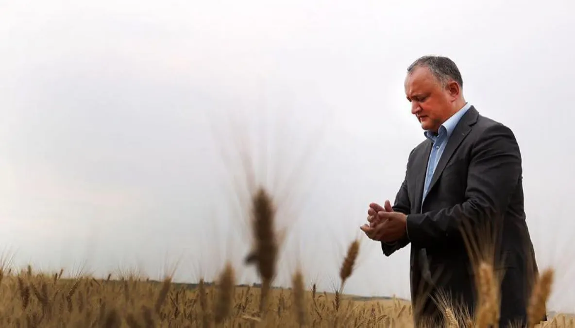 VIDEO ȘOCANT "Igor Dodon, filmat cum împușcă porci mistreți dintr-un tarc, de la mică disanță, cu o pușcă cu lunetă 