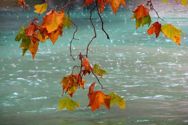 Toamna îşi intră în drepturi: când încep ploile torenţiale. ANUNŢUL meteorologilor - HARTA 