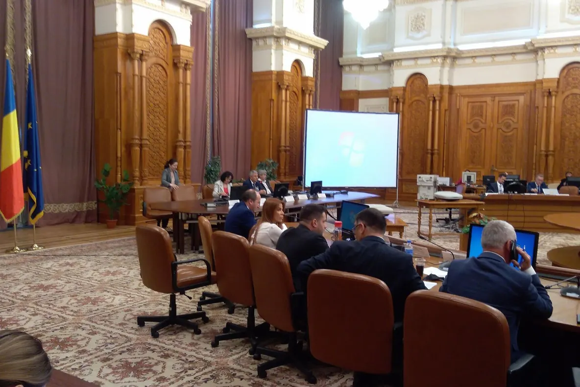 Tudorel Toader, despre amnistie și grațiere: În an Centenar, legiuitorul ar putea fi generos 