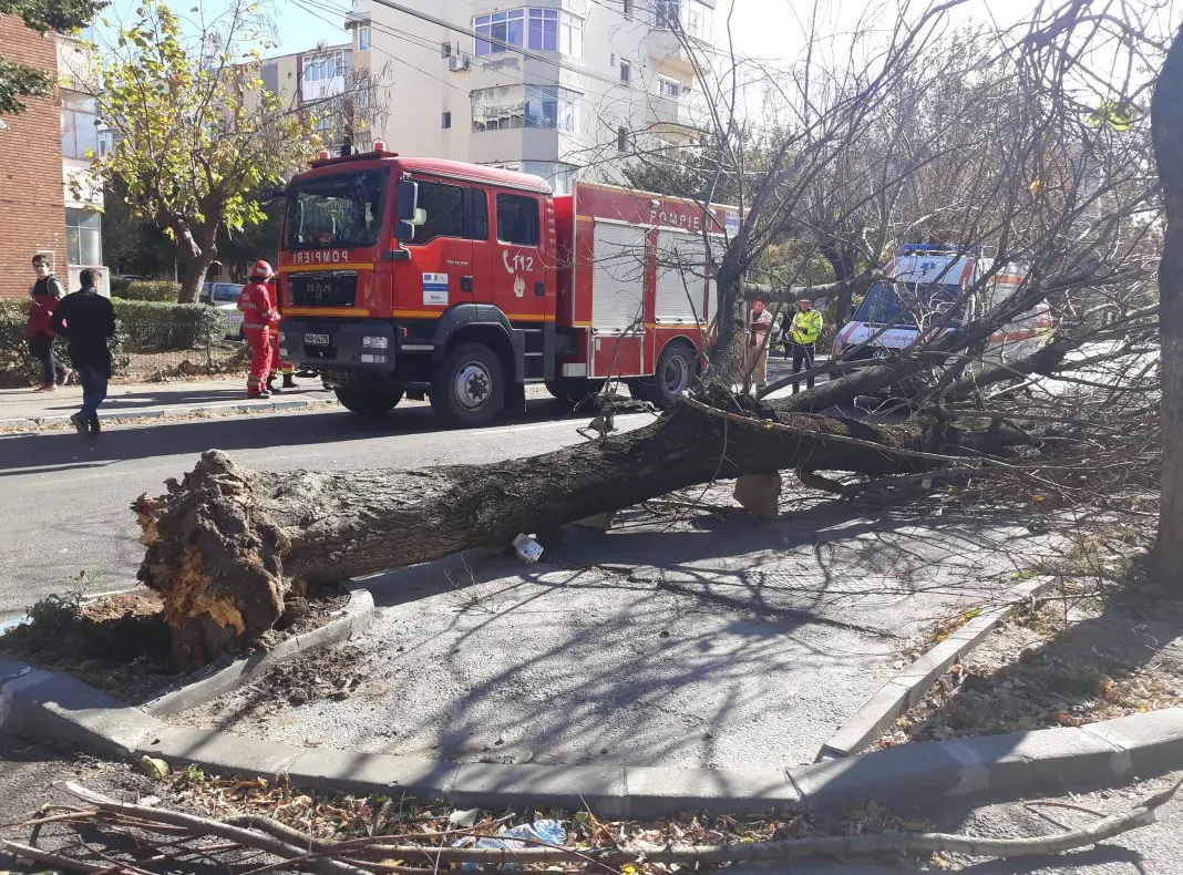 Vântul puternic face victime! O femeie a fost prinsă sub un copac doborât de vijelie 