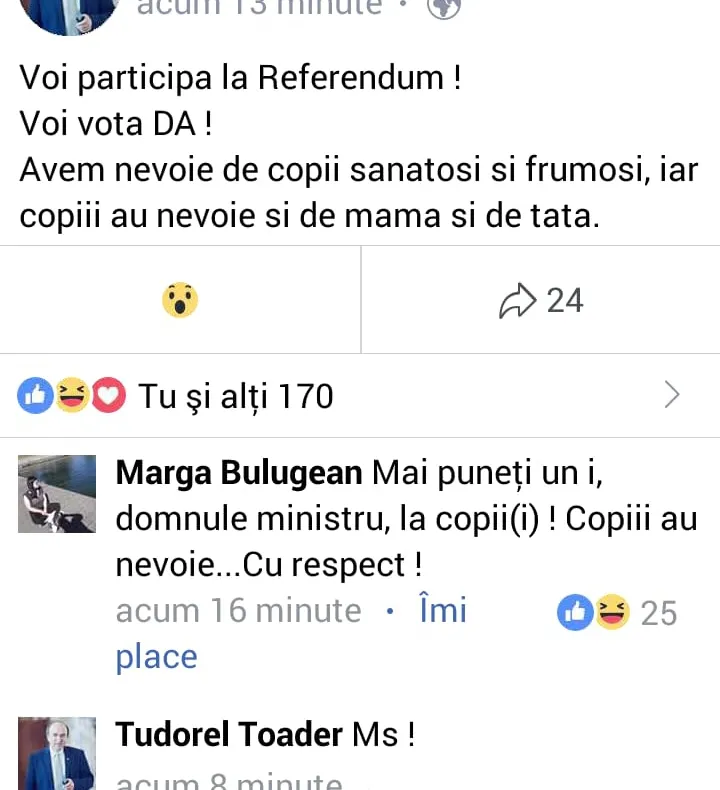 REFERENDUM. Tudorel Toader, îndemn agramat pe Facebook: "COPII au nevoie de mama şi de tata"