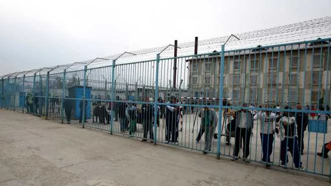 Tentativă de evadare de la Penitenciarul Poarta Albă