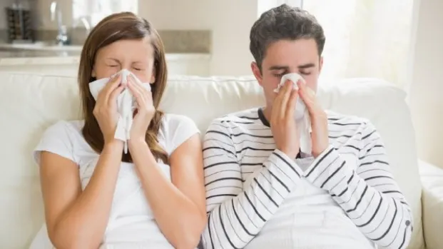 10 plante medicinale care te ajută să păcăleşti răceala