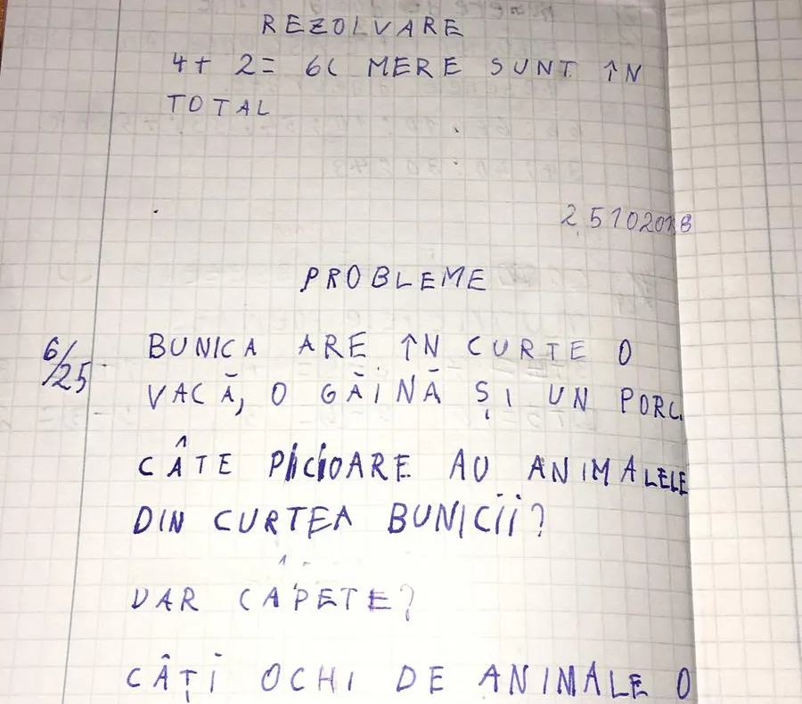 Câte picioare au animalele din curtea bunicii? Cum arată o problemă de matematică la clasa I 