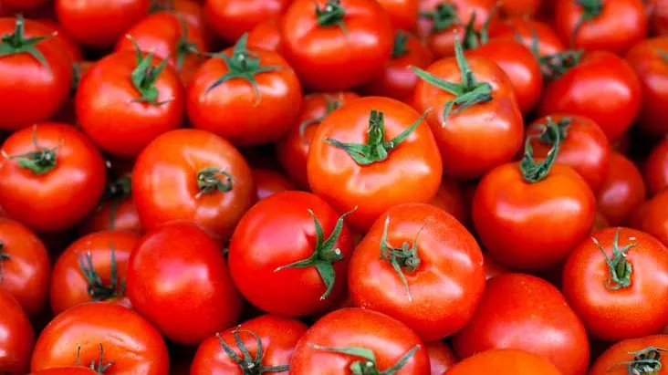 Cum se pot păstra roşiile până târziu în decembrie