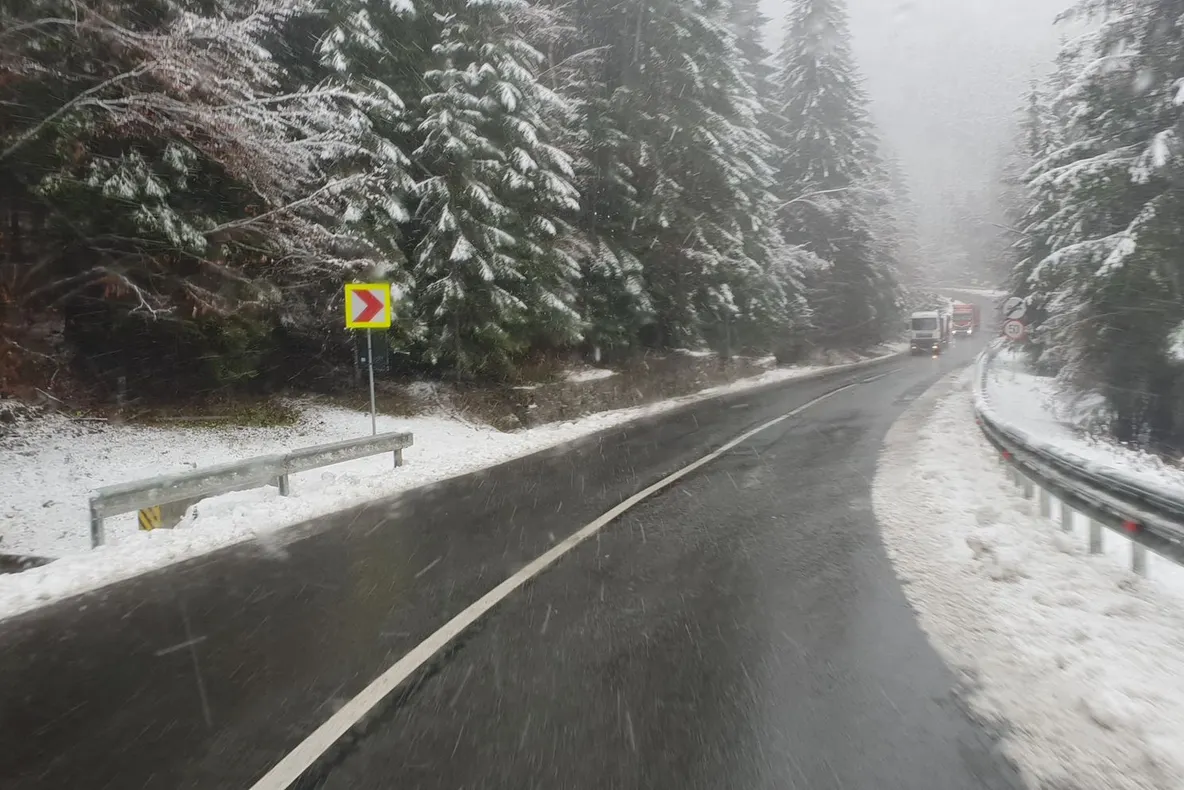 FOTO A nins în mai multe județe din țară! Strat de zăpadă de zeci de centimetri 