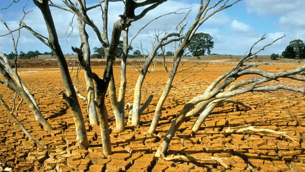 Fenomenul "El Nino", din nou în actualitate. Avertismentul specialiştilor 