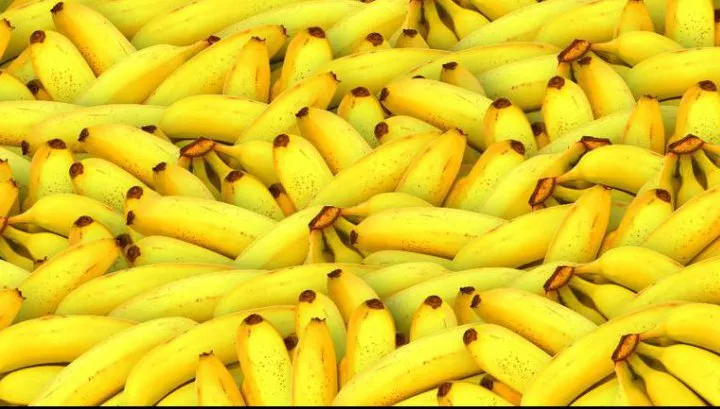 Alimente pe cale de dispariţie! Le consumi în fiecare zi