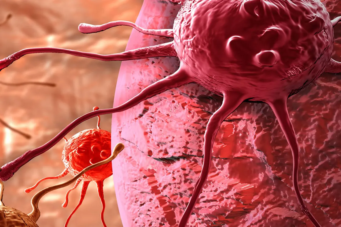 Descoperirea care ar putea revoluţiona tratamentul împotriva CANCERULUI. E uimitor 