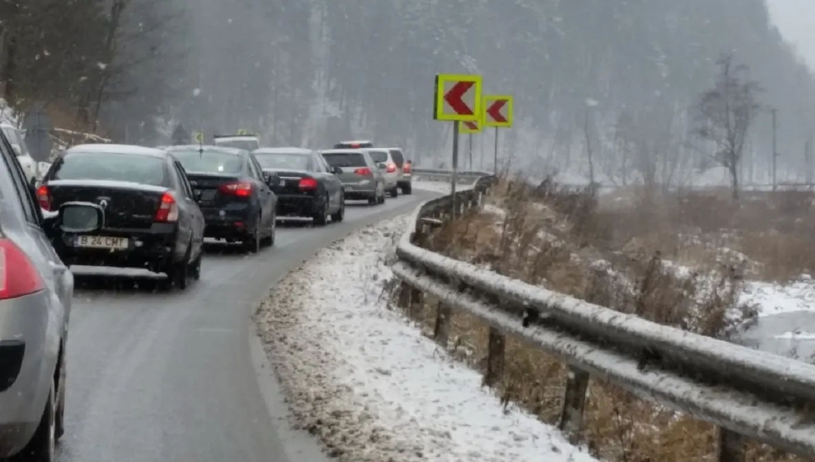 Un brad a provocat BLOCAJ pe DN1. Au avut loc tamponări