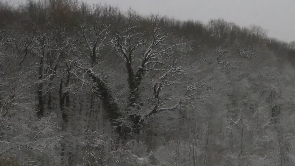 METEO: Cum va fi vremea din a doua zi de Crăciun până la Anul Nou