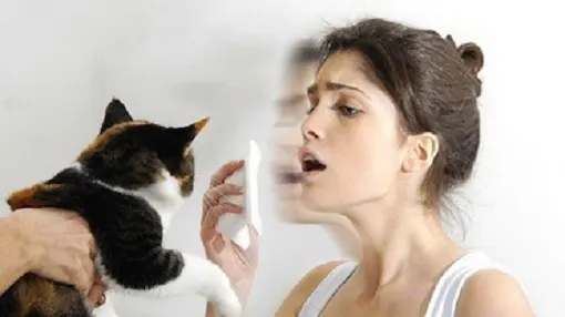 Cum se manifestă alergia la părul de animale?