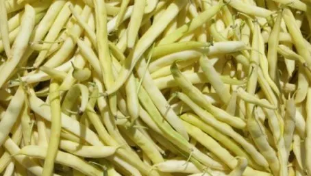 Miraculosul ceai din teci de fasole. Curăţă organismul de toxine