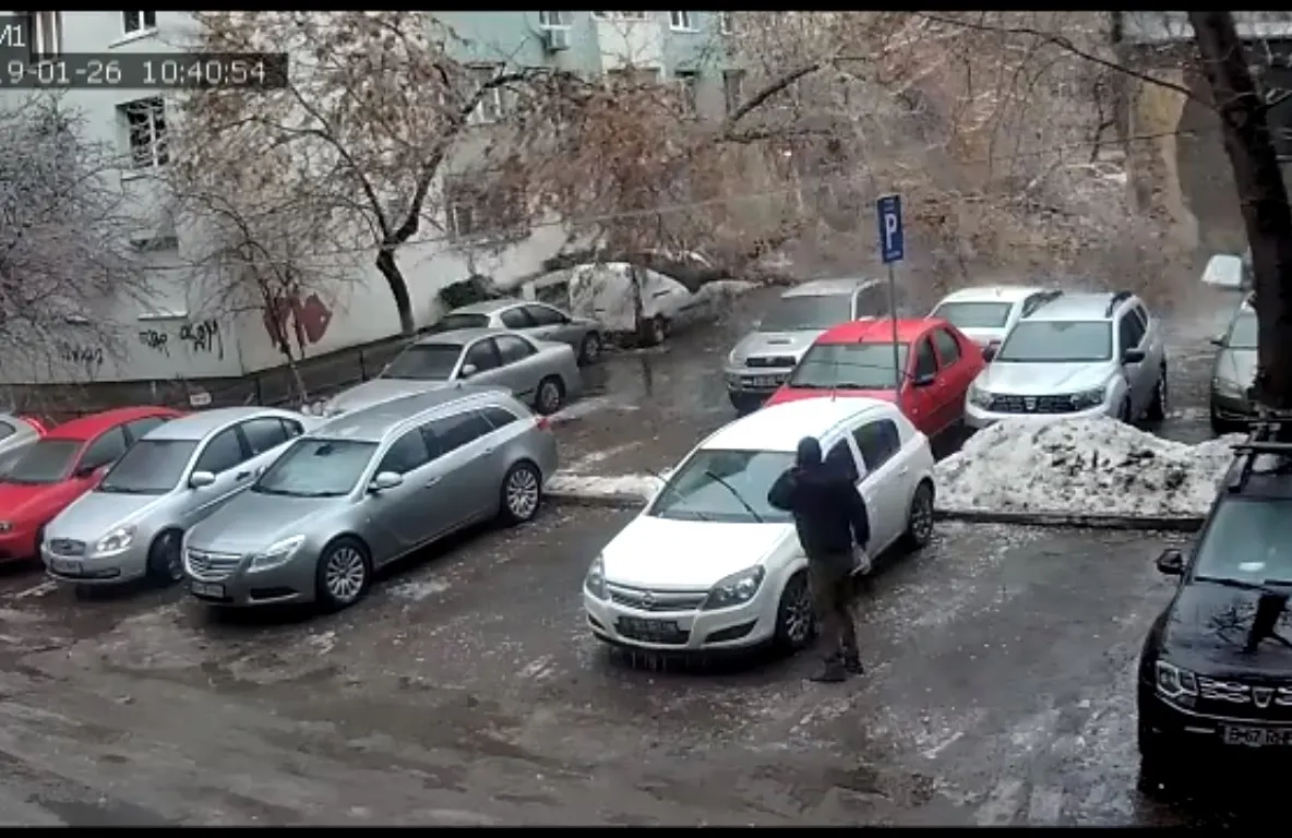 Efectul "ploaia înghețată", surprins pe cameră. Iată momentul în care un copac se prăbușește!