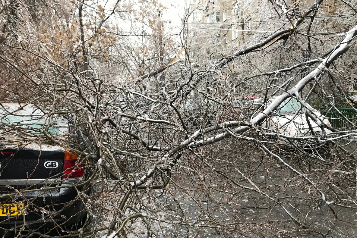 Bărbat rănit, după ce un copac a căzut peste el, în zona Crângași din București