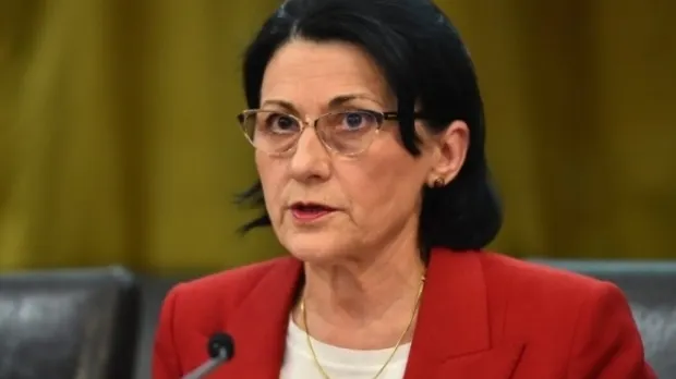 Andronescu, despre medicul fals: Dacă ministerul a greșit, cine a făcut verificarea va pleca