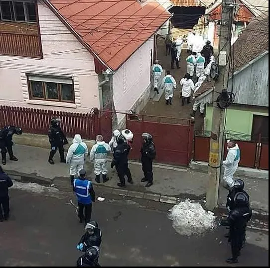 A fost confirmat al doilea focar de pestă porcina africană în județul Covasna