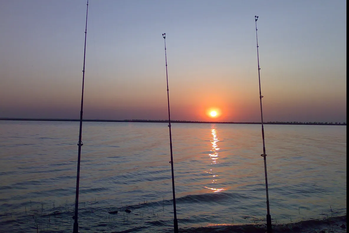 Atenție pescari! S-au stabilit perioadele şi zonele de prohibiţie  pentru 2019