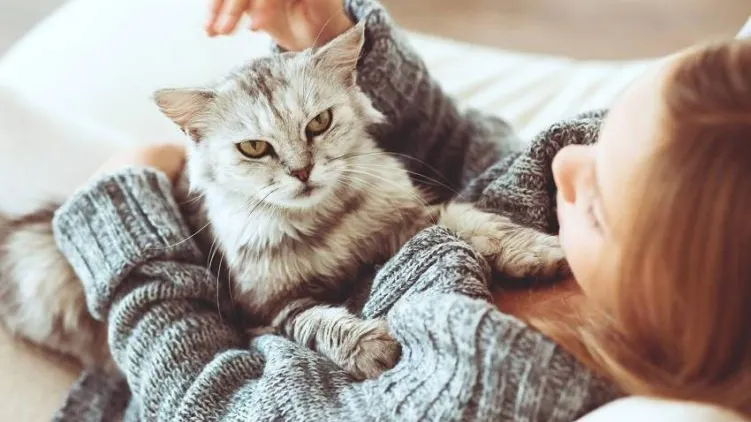 Stăpânii de pisici transmit trăsăturile de personalitate animalelor de companie