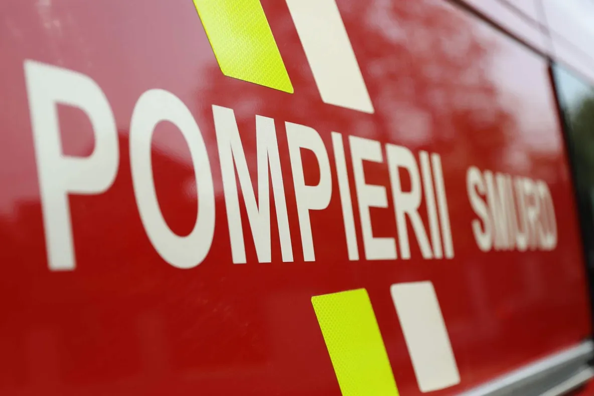 Animale mistuite în incendiu, la Mihăilești. De supărare, o femeie a făcut infarct și a murit