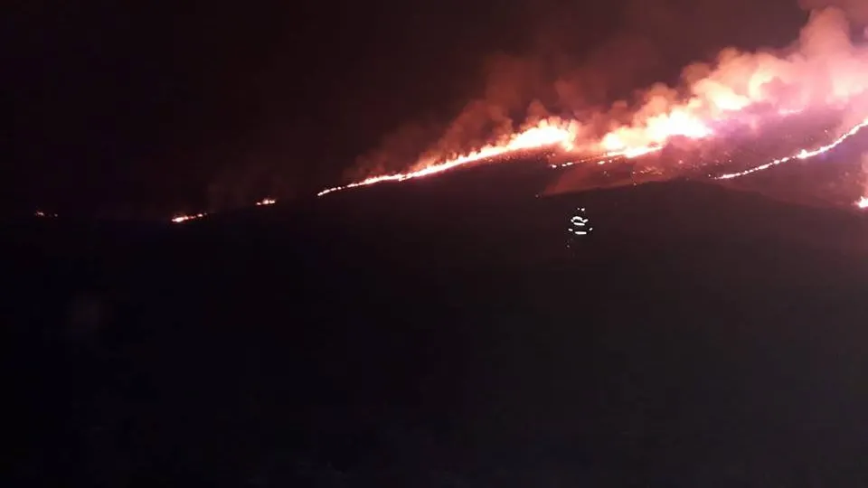 Incendiu violent în Buzău. Arde pădurea, iar echipele de intervenție nu pot opri flăcările